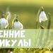ВЕСЕННИЕ КАНИКУЛЫ