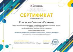 СЕРТИФИКАТЫ, СВИДЕТЕЛЬСТВА О ПОВЫШЕНИИ КВАЛИФИКАЦИИ