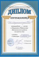 ОТКРЫТОЕ ПЕРВЕНСТВО ШУМИЛИНСКОГО РАЙОНА ПО ВЬЕТ ВО ДАО