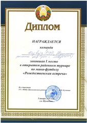 ОТКРЫТЫЙ РАЙОННЫЙ ТУРНИР ПО МИНИ-ФУТБОЛУ 