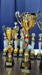НАШИ СПОРТСМЕНЫ УЧАСТВУЮТ В ЧЕМПИОНАТЕ РОССИИ ПО ВОВИНАМ ВЬЕТ ВО ДАО
