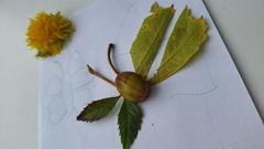 НАШ ФОТООТЧЁТ