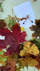 НАШ ФОТООТЧЁТ