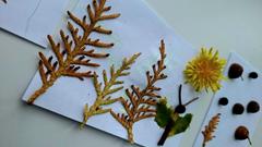 НАШ ФОТООТЧЁТ