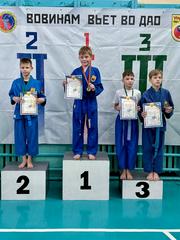 КУБОК ВИТЕБСКОЙ ОБЛАСТИ И ПЕРВЕНСТВО ШУМИЛИНСКОГО РАЙОНА ПО ВЬЕТ ВО ДАО