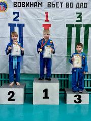 КУБОК ВИТЕБСКОЙ ОБЛАСТИ И ПЕРВЕНСТВО ШУМИЛИНСКОГО РАЙОНА ПО ВЬЕТ ВО ДАО