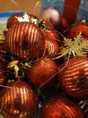 СУББОТНИЙ ДЕНЬ С РЦДиМ 20.12.2025