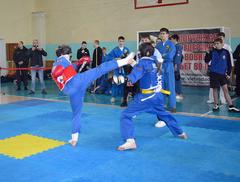 Итоги кубка Витебской области и первенства Шумилинского района по вавинам вьет во дао. "Герой працы" 11.12.2025 г.