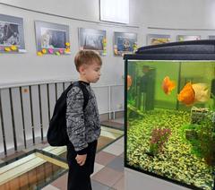 ФОТОАЛЬБОМ 