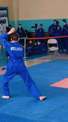 ЧЕМПИОНАТ И ПЕРВЕНСТВО ВИТЕБСКОЙ ОБЛАСТИ ПО ВЬЕТ ВО ДАО